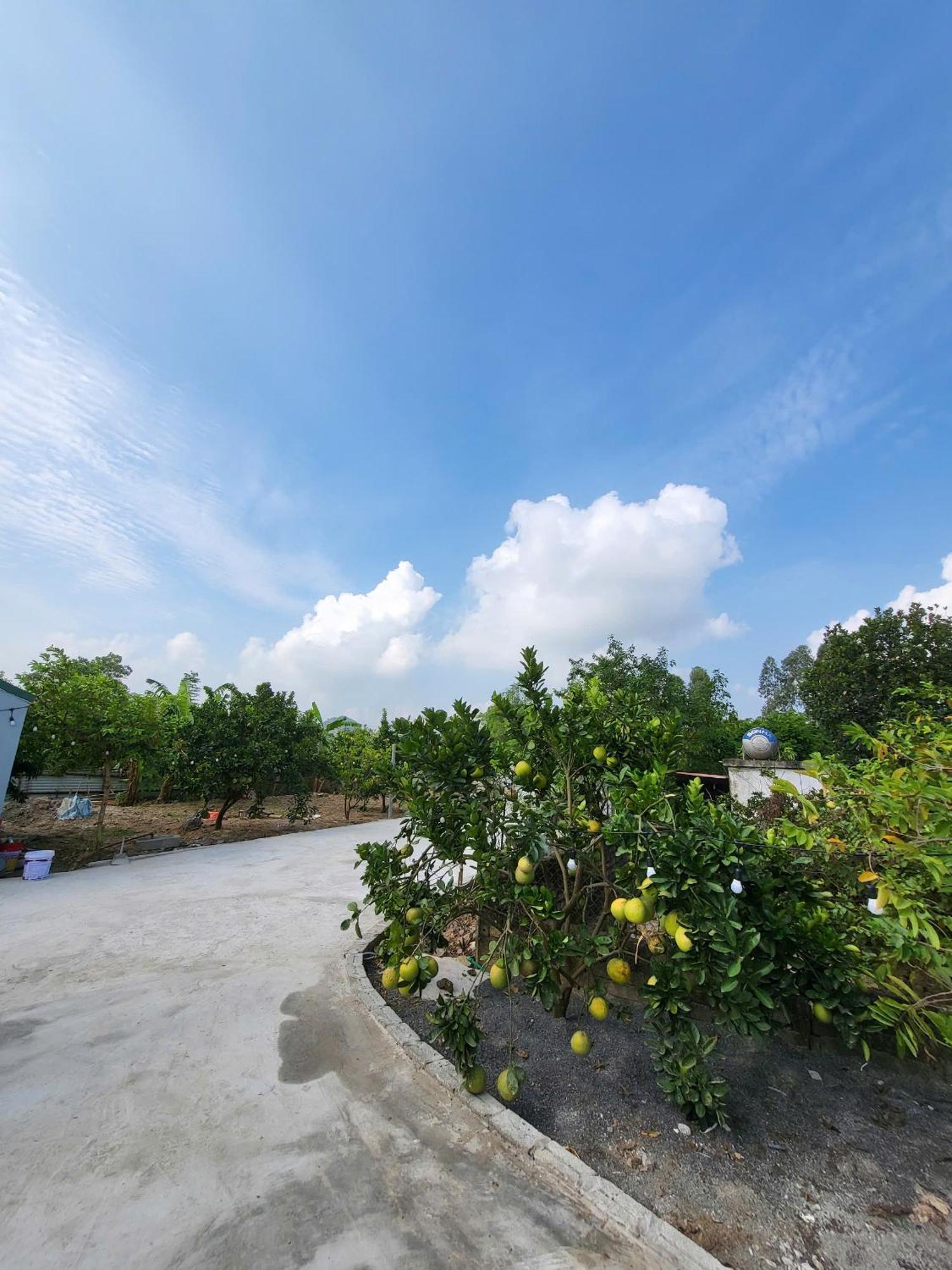 Tam Coc Pomelo Garden Apartamento Ninh Binh Exterior foto